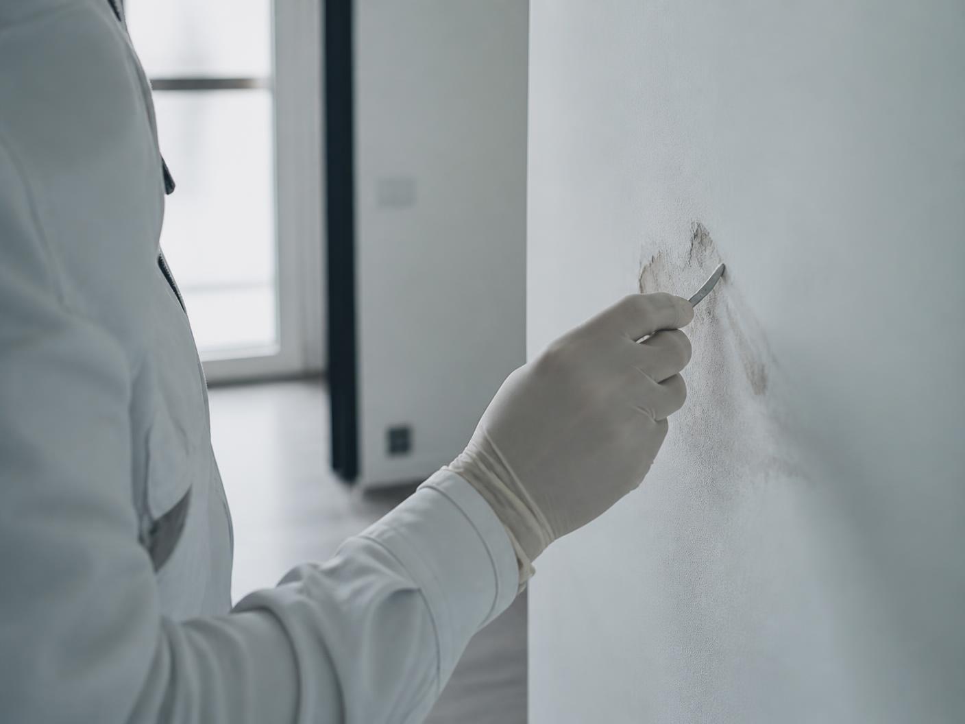 Techniker bearbeitet eine betroffene Wandfläche